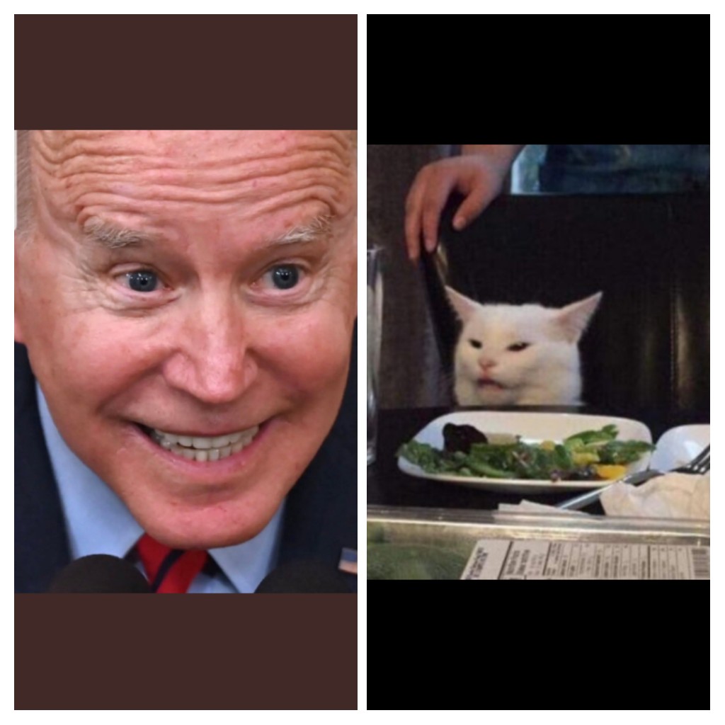 High Quality Biden and Smudge Blank Meme Template