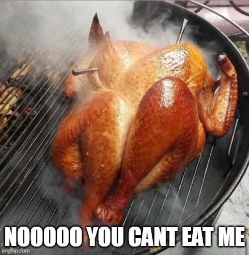 Nooooo you cant eat me |  NOOOOO YOU CANT EAT ME | image tagged in chicken,funny,barbecue,nude,scared | made w/ Imgflip meme maker