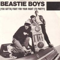 High Quality Beastie Boys Fight for your right Blank Meme Template