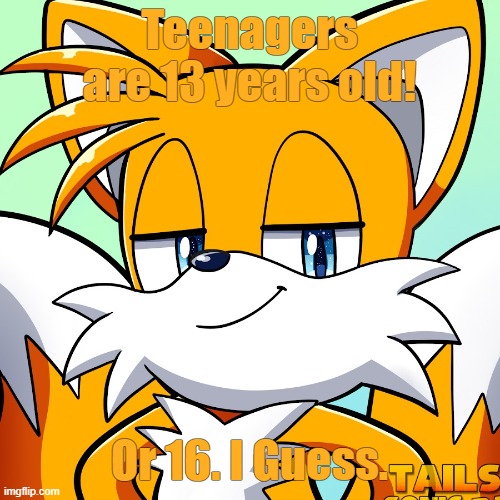 Teenagers are 13 years old | Teenagers are 13 years old! Or 16. I Guess. | image tagged in smart tails the fox,teenagers | made w/ Imgflip meme maker