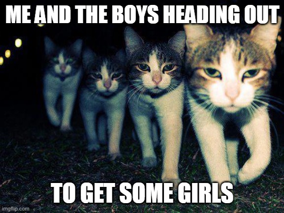 the boys | ME AND THE BOYS HEADING OUT; TO GET SOME GIRLS | image tagged in memes,wrong neighboorhood cats | made w/ Imgflip meme maker