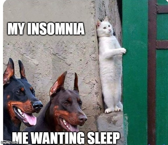 Me after midnight ? |  MY INSOMNIA; ME WANTING SLEEP | image tagged in hidden cat,insomnia,cats,dogs | made w/ Imgflip meme maker