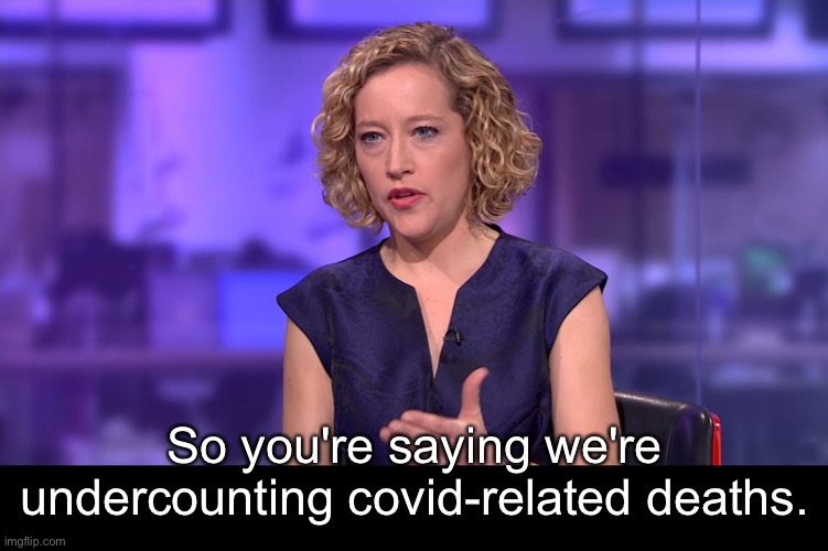 So you're saying | So you're saying we're undercounting covid-related deaths. | image tagged in so you're saying | made w/ Imgflip meme maker