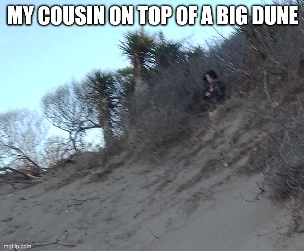 MY COUSIN ON TOP OF A BIG DUNE | made w/ Imgflip meme maker