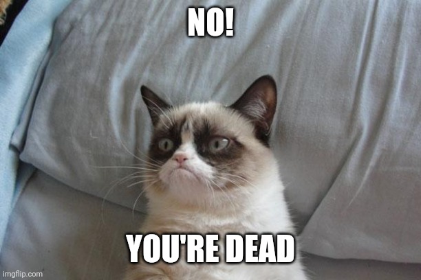 Grumpy Cat Bed Meme | NO! YOU'RE DEAD | image tagged in memes,grumpy cat bed,grumpy cat | made w/ Imgflip meme maker