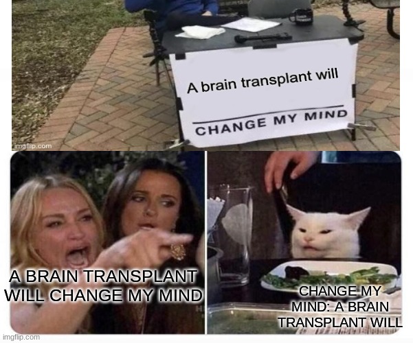 Kinda stuck between the 2 | CHANGE MY MIND: A BRAIN TRANSPLANT WILL; A BRAIN TRANSPLANT WILL CHANGE MY MIND | image tagged in woman shouting at cat | made w/ Imgflip meme maker