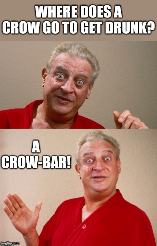 Classic Rodney | WHERE DOES A CROW GO TO GET DRUNK? A CROW-BAR! | image tagged in classic rodney | made w/ Imgflip meme maker