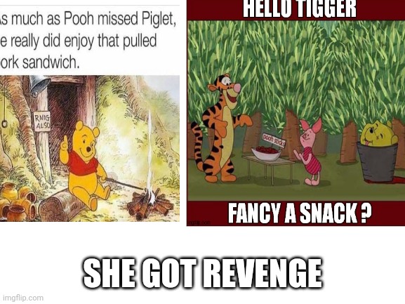 Who ever made these( probably different people) good job | SHE GOT REVENGE | image tagged in revenge | made w/ Imgflip meme maker