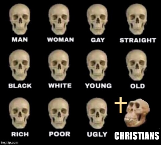 idiot skull | CHRISTIANS | image tagged in idiot skull,anti-religion,christian memes | made w/ Imgflip meme maker