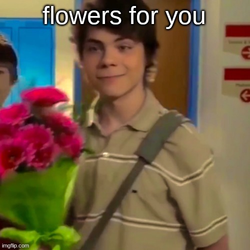 flowers | flowers for you | image tagged in flowers | made w/ Imgflip meme maker