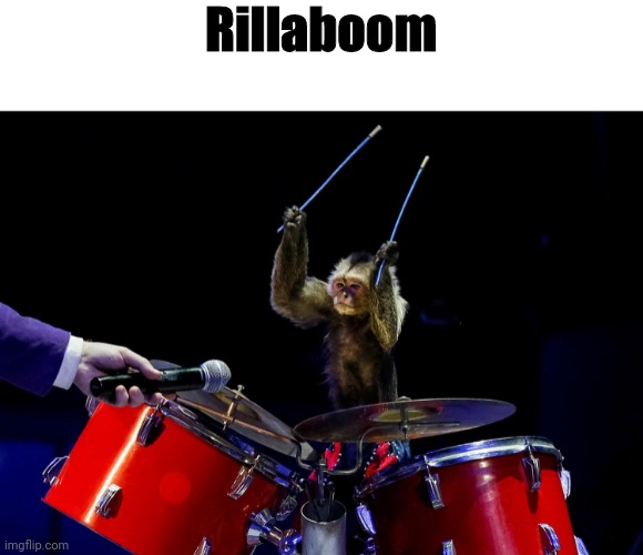 Rillaboom | made w/ Imgflip meme maker