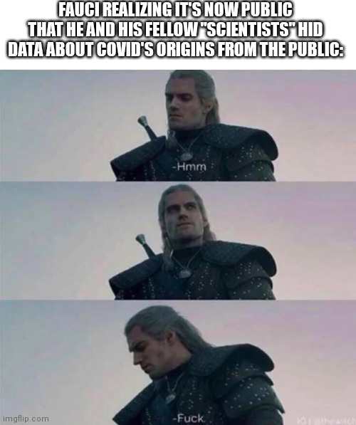 THEY HID THAT IT CAME FROM CHINA | FAUCI REALIZING IT'S NOW PUBLIC THAT HE AND HIS FELLOW "SCIENTISTS" HID DATA ABOUT COVID'S ORIGINS FROM THE PUBLIC: | image tagged in blank white template,witcher hmm | made w/ Imgflip meme maker