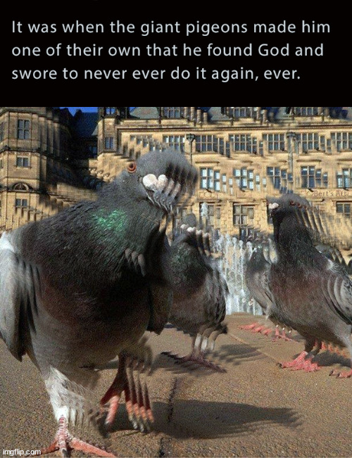 It was when the giant pigeons made him one of their own that he found God and promised | image tagged in memes,optical illusion,funny | made w/ Imgflip meme maker