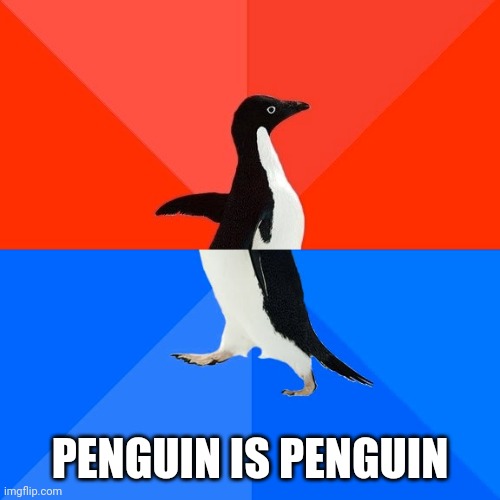 Socially Awesome Awkward Penguin Meme | PENGUIN IS PENGUIN | image tagged in memes,socially awesome awkward penguin | made w/ Imgflip meme maker