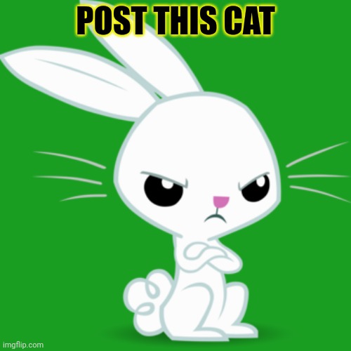 Post this cat | POST THIS CAT | image tagged in post,this,cat,cute animals | made w/ Imgflip meme maker