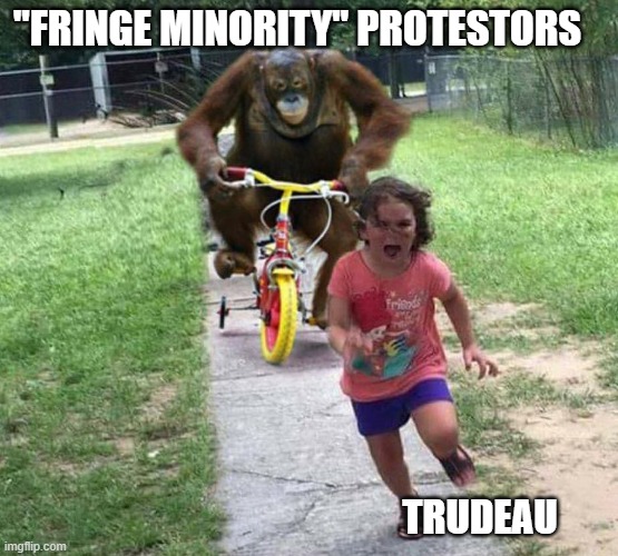 Canadian PM has been a woke coward his whole life. See what he's made of? | "FRINGE MINORITY" PROTESTORS; TRUDEAU | image tagged in run,trudeau,woke,liberal,covid,authoritarian | made w/ Imgflip meme maker