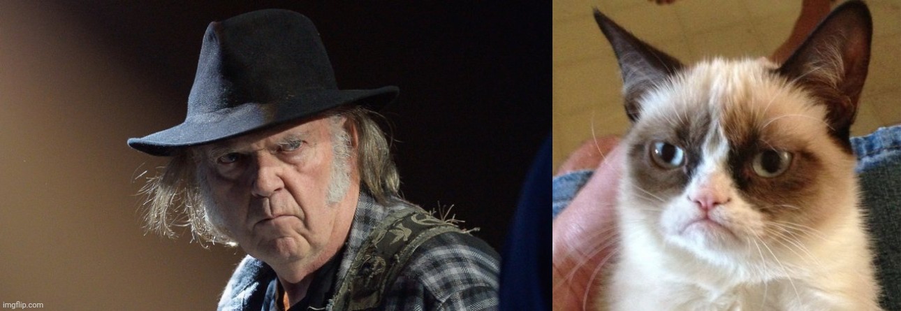 image tagged in senile neil young,memes,grumpy cat | made w/ Imgflip meme maker