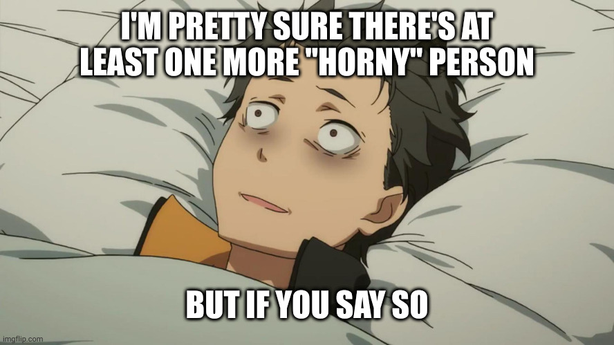 re:zero subaru | I'M PRETTY SURE THERE'S AT LEAST ONE MORE "HORNY" PERSON BUT IF YOU SAY SO | image tagged in re zero subaru | made w/ Imgflip meme maker