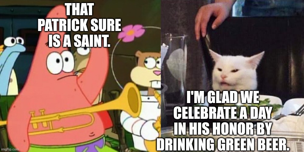 THAT PATRICK SURE IS A SAINT. I'M GLAD WE CELEBRATE A DAY IN HIS HONOR BY DRINKING GREEN BEER. | image tagged in smudge the cat | made w/ Imgflip meme maker