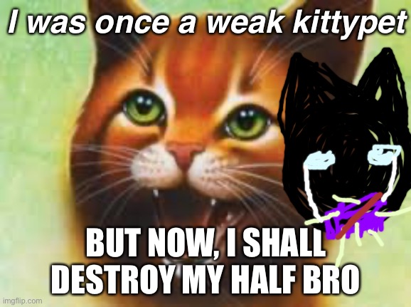 The worst meme ever sorry lol | I was once a weak kittypet; BUT NOW, I SHALL DESTROY MY HALF BRO | image tagged in warrior cats firestar | made w/ Imgflip meme maker