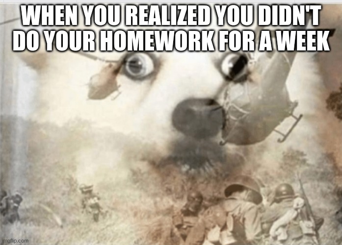 Uh oh | WHEN YOU REALIZED YOU DIDN'T DO YOUR HOMEWORK FOR A WEEK | image tagged in ptsd dog | made w/ Imgflip meme maker