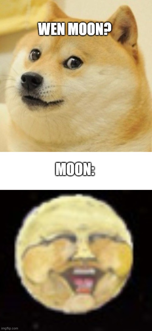 WEN MOON? MOON: | image tagged in wow doge,cryptocurrency,crypto,stonks,doge | made w/ Imgflip meme maker
