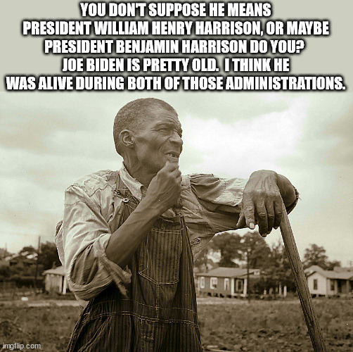 Pensive Colored Sharecropper | YOU DON'T SUPPOSE HE MEANS PRESIDENT WILLIAM HENRY HARRISON, OR MAYBE PRESIDENT BENJAMIN HARRISON DO YOU?  JOE BIDEN IS PRETTY OLD.  I THINK | image tagged in pensive colored sharecropper | made w/ Imgflip meme maker
