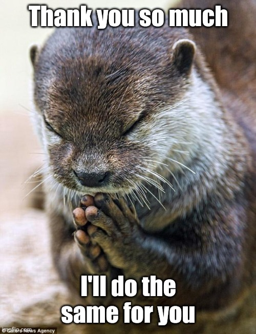 Thank you Lord Otter | Thank you so much I'll do the same for you | image tagged in thank you lord otter | made w/ Imgflip meme maker