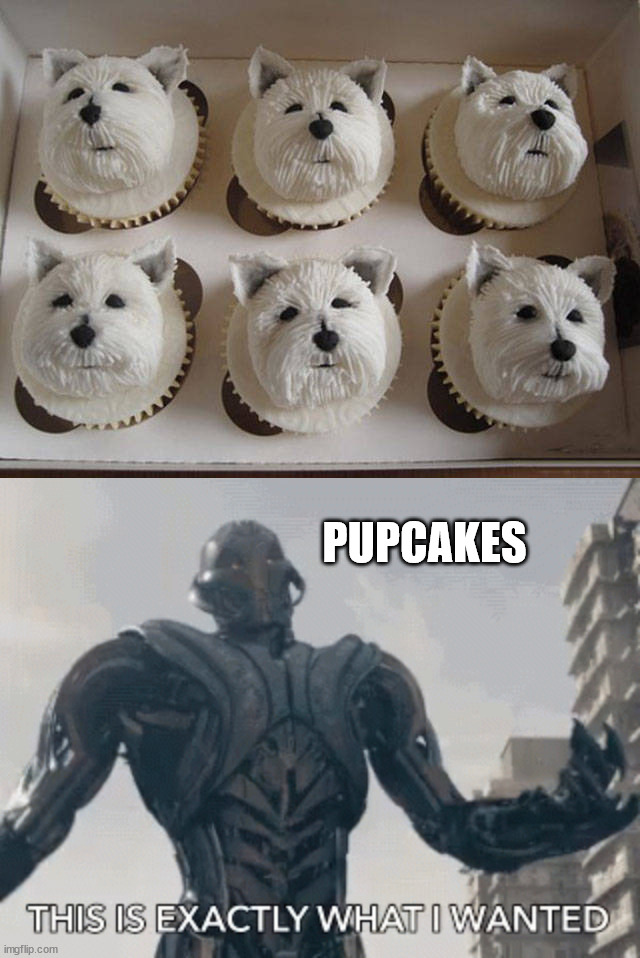 Pupcakes | PUPCAKES | image tagged in this is exactly what i wanted,desert,doggo,cupcakes | made w/ Imgflip meme maker