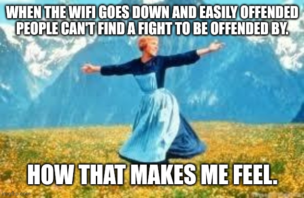 Look At All These Meme |  WHEN THE WIFI GOES DOWN AND EASILY OFFENDED PEOPLE CAN'T FIND A FIGHT TO BE OFFENDED BY. HOW THAT MAKES ME FEEL. | image tagged in memes,look at all these | made w/ Imgflip meme maker