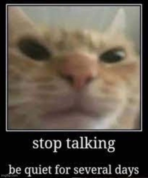 stop talking be quiet for several days | image tagged in stop talking be quiet for several days | made w/ Imgflip meme maker