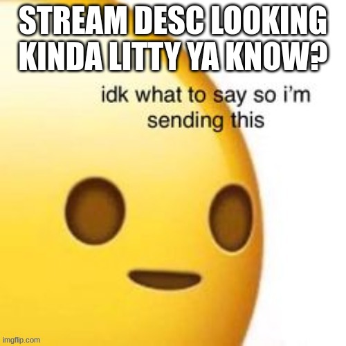 LIT | STREAM DESC LOOKING KINDA LITTY YA KNOW? | image tagged in idk what to say so im sending this | made w/ Imgflip meme maker