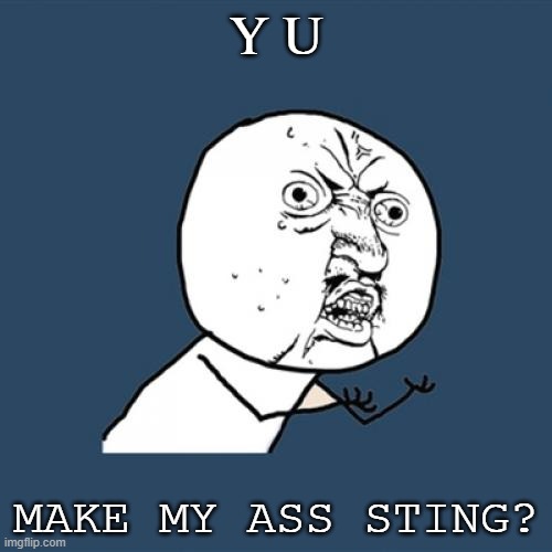 Y U No | Y U; MAKE MY ASS STING? | image tagged in memes,y u no | made w/ Imgflip meme maker