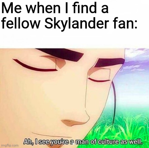 Ah,I see you are a man of culture as well | Me when I find a fellow Skylander fan: | image tagged in ah i see you are a man of culture as well,skylanders | made w/ Imgflip meme maker