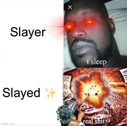 Sleeping Shaq Meme | Slayer; Slayed ✨ | image tagged in memes,sleeping shaq | made w/ Imgflip meme maker