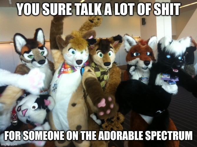Furries | YOU SURE TALK A LOT OF SHIT FOR SOMEONE ON THE ADORABLE SPECTRUM | image tagged in furries | made w/ Imgflip meme maker