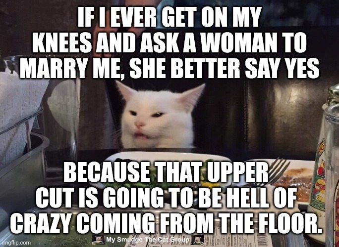 IF I EVER GET ON MY KNEES AND ASK A WOMAN TO MARRY ME, SHE BETTER SAY YES; BECAUSE THAT UPPER CUT IS GOING TO BE HELL OF CRAZY COMING FROM THE FLOOR. | image tagged in smudge the cat | made w/ Imgflip meme maker