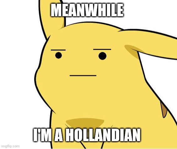 Pikachu Is Not Amused | MEANWHILE I'M A HOLLANDIAN | image tagged in pikachu is not amused | made w/ Imgflip meme maker