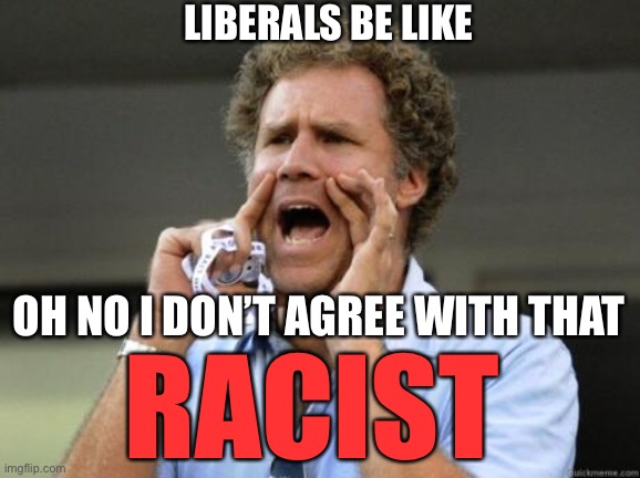 When you disagree or are losing an argument go back to this… | LIBERALS BE LIKE; OH NO I DON’T AGREE WITH THAT; RACIST | image tagged in yelling,libtards,racists,lost cause | made w/ Imgflip meme maker