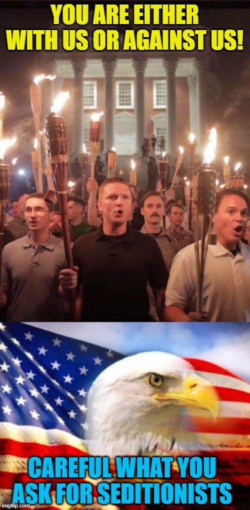 YOU ARE EITHER WITH US OR AGAINST US! CAREFUL WHAT YOU ASK FOR SEDITIONISTS | image tagged in tiki torch racist,american flag | made w/ Imgflip meme maker