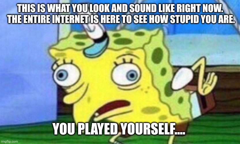 spongebob stupid | THIS IS WHAT YOU LOOK AND SOUND LIKE RIGHT NOW.  THE ENTIRE INTERNET IS HERE TO SEE HOW STUPID YOU ARE. YOU PLAYED YOURSELF.... | image tagged in spongebob stupid | made w/ Imgflip meme maker
