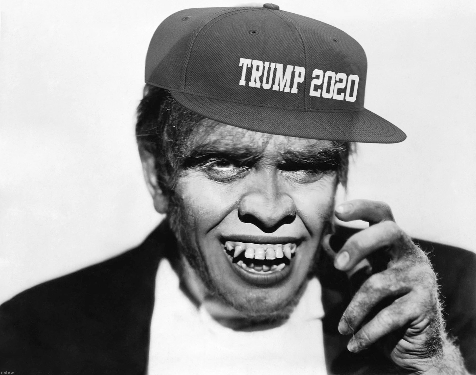 MAGA low brow Trumpite | image tagged in mr hyde,dr jekyll and mr hyde,maga,maga low browss,trump,trump lost | made w/ Imgflip meme maker