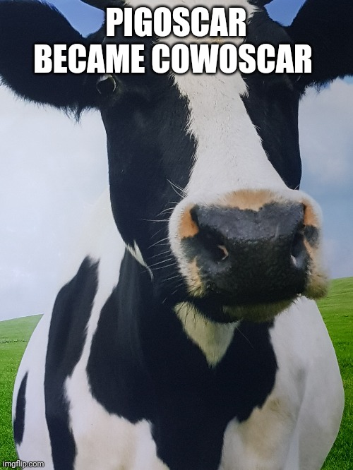 Pigoscar became Cowoscar | PIGOSCAR BECAME COWOSCAR | image tagged in pigoscar,pigoscar theories | made w/ Imgflip meme maker