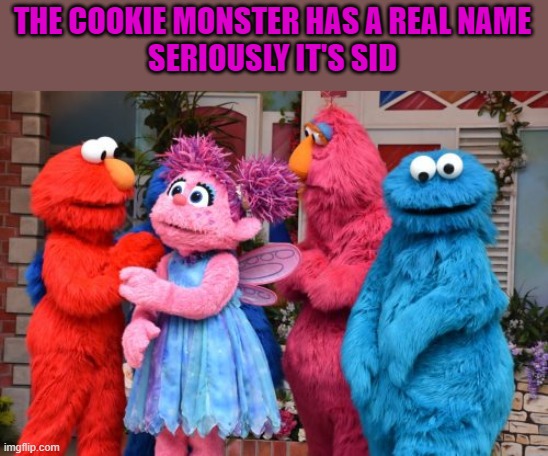 cookie monster | THE COOKIE MONSTER HAS A REAL NAME
SERIOUSLY IT'S SID | image tagged in sid | made w/ Imgflip meme maker