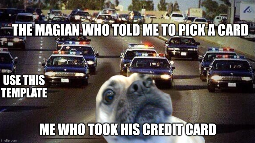 dogggo on the run | THE MAGIAN WHO TOLD ME TO PICK A CARD; USE THIS TEMPLATE; ME WHO TOOK HIS CREDIT CARD | image tagged in funny,memes,meme,upvote,subscribe to dogggoboggo | made w/ Imgflip meme maker