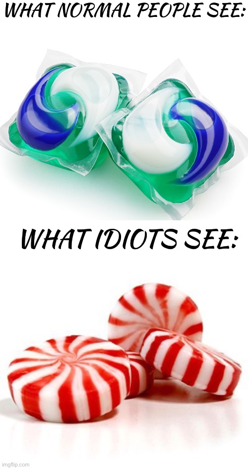 Tide pod challenge amirite? | WHAT NORMAL PEOPLE SEE:; WHAT IDIOTS SEE: | image tagged in memes,funny,gifs,cats,tide pod challenge,funny memes | made w/ Imgflip meme maker