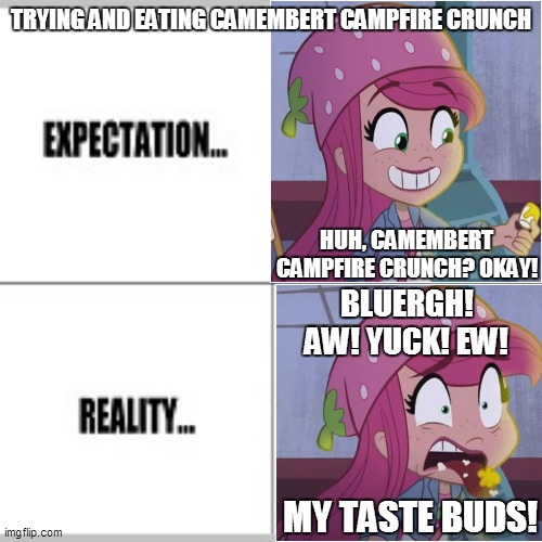 How My Camembert Campfire Crunch Experience Went? | TRYING AND EATING CAMEMBERT CAMPFIRE CRUNCH; HUH, CAMEMBERT CAMPFIRE CRUNCH? OKAY! BLUERGH! AW! YUCK! EW! MY TASTE BUDS! | image tagged in expectation vs reality,strawberry shortcake,strawberry shortcake berry in the big city,so true memes,memes,true story | made w/ Imgflip meme maker