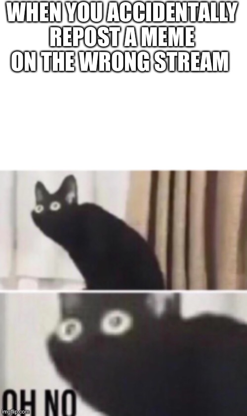 Oh no cat | WHEN YOU ACCIDENTALLY REPOST A MEME ON THE WRONG STREAM | image tagged in oh no cat | made w/ Imgflip meme maker