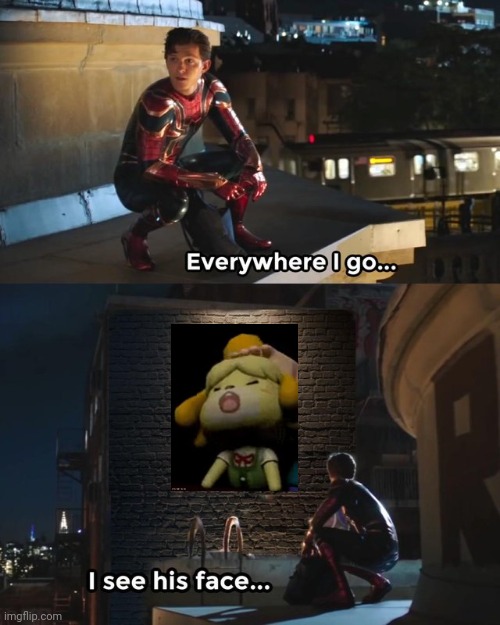 Unfortunately I can't find the gif anymore | image tagged in everywhere i go i see his face | made w/ Imgflip meme maker