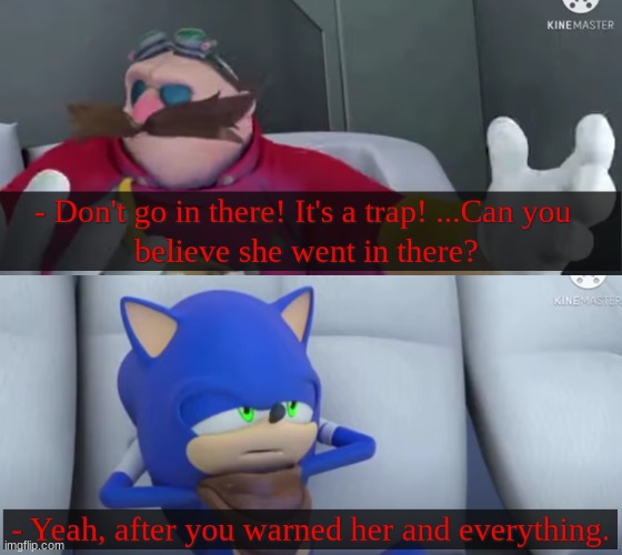 Sonic Boom Funny Moments #10 | image tagged in sonic boom,sonic the hedgehog,eggman | made w/ Imgflip meme maker